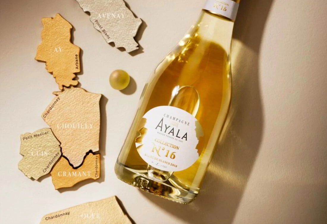 Champagne Ayala Collection No.16 bottle with vineyard map pieces and grape varieties