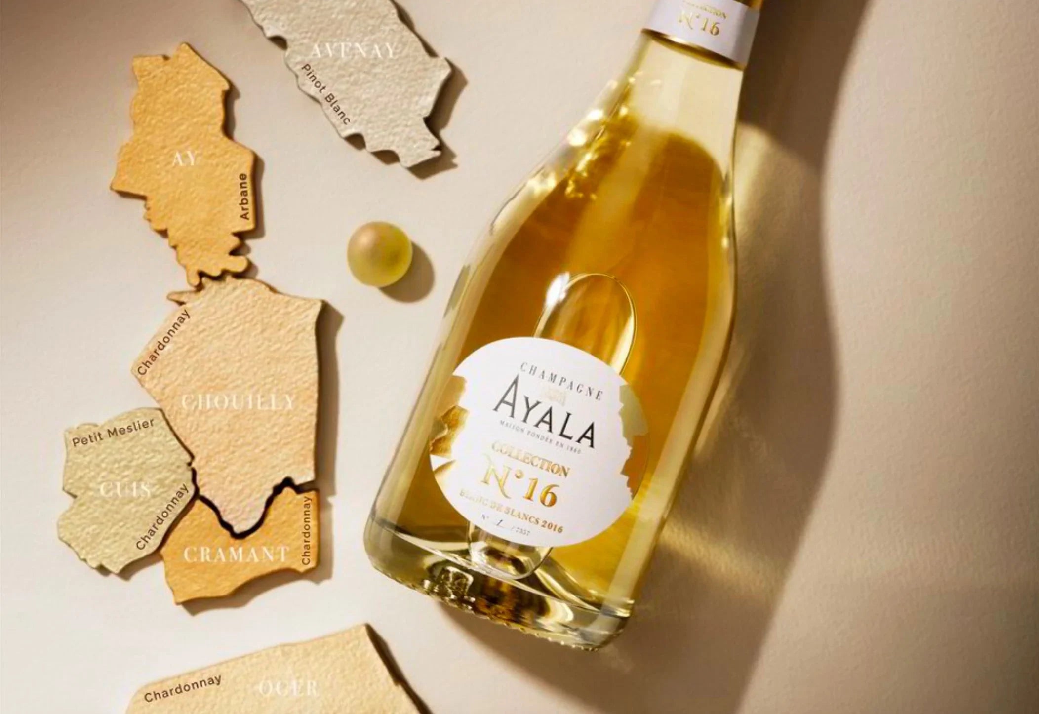 Champagne Ayala Collection No.16 bottle with vineyard map pieces and grape varieties