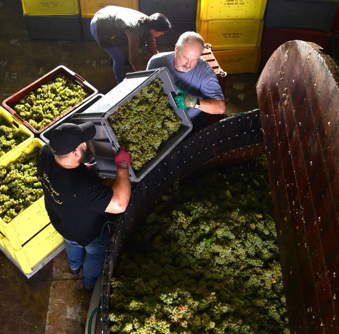 Harvest 2018 Report