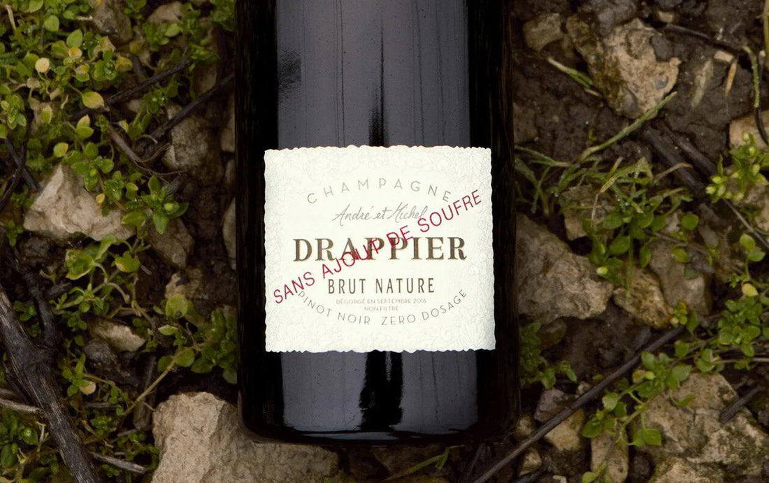 Drappier Brut Nature Champagne bottle on rocky soil with green plants