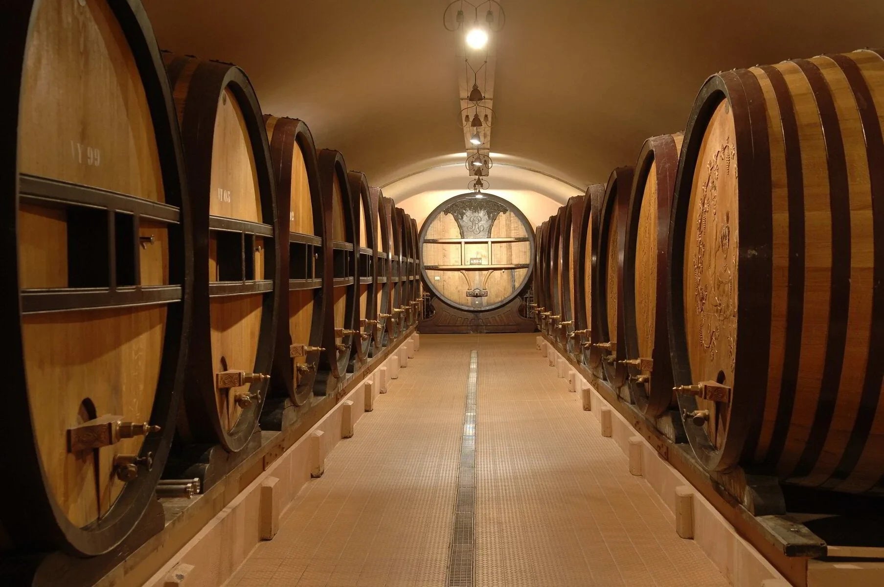 Wine cellar with large wooden barrels in rows under arched ceiling, winery storage room