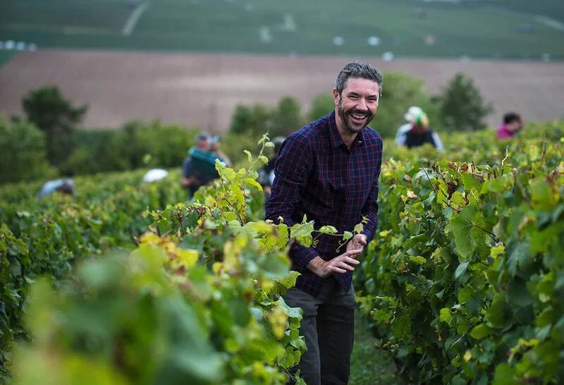 Smiling man in vineyard surrounded by grapevines during harvest
