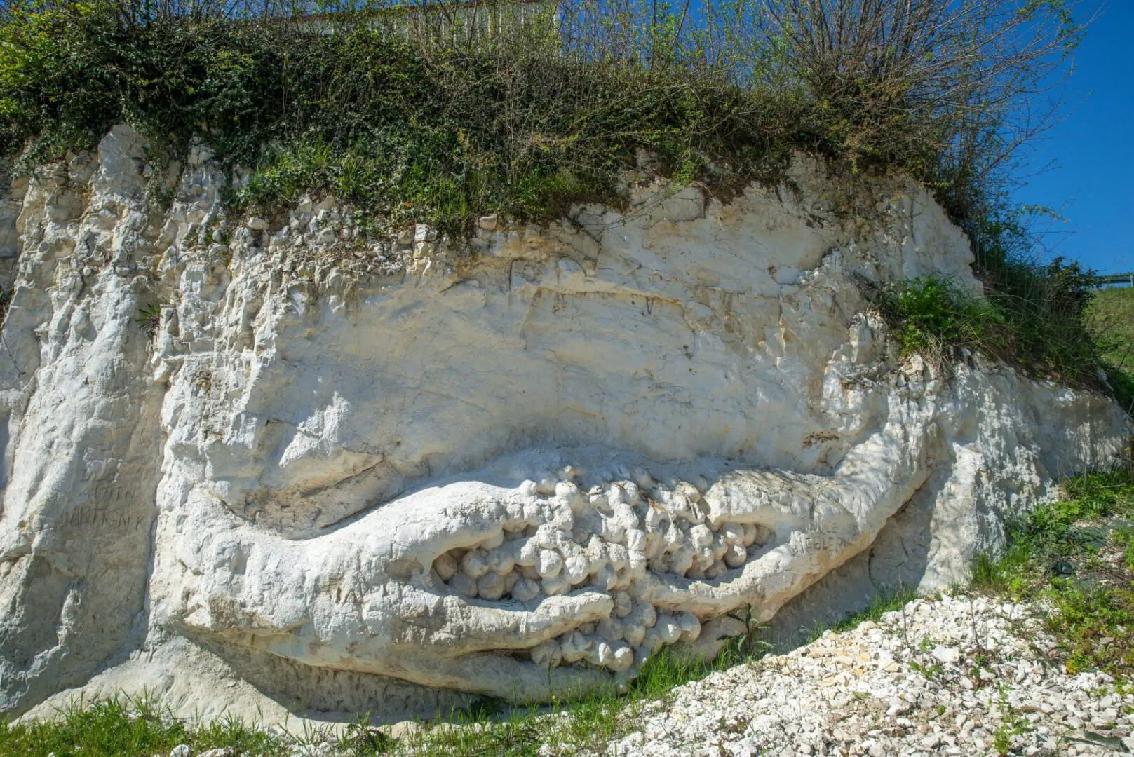 Chalked Up: The Côte des Blancs