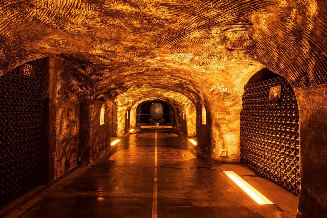 The Philosophy of Lees