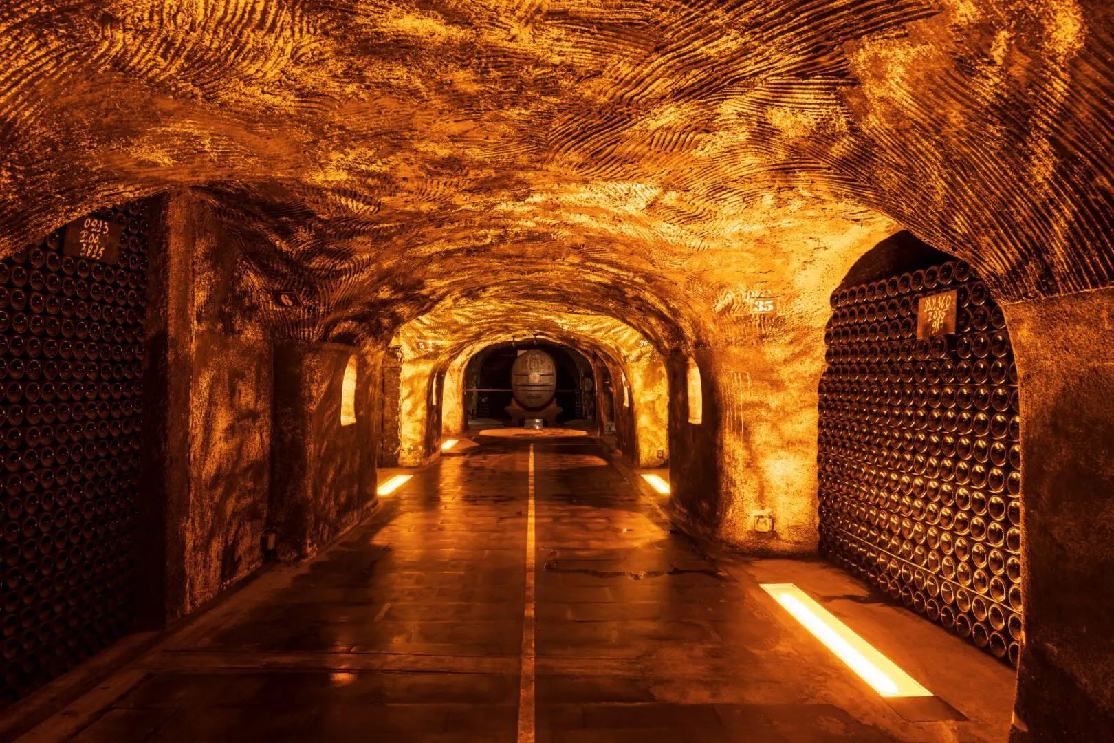 The Philosophy of Lees