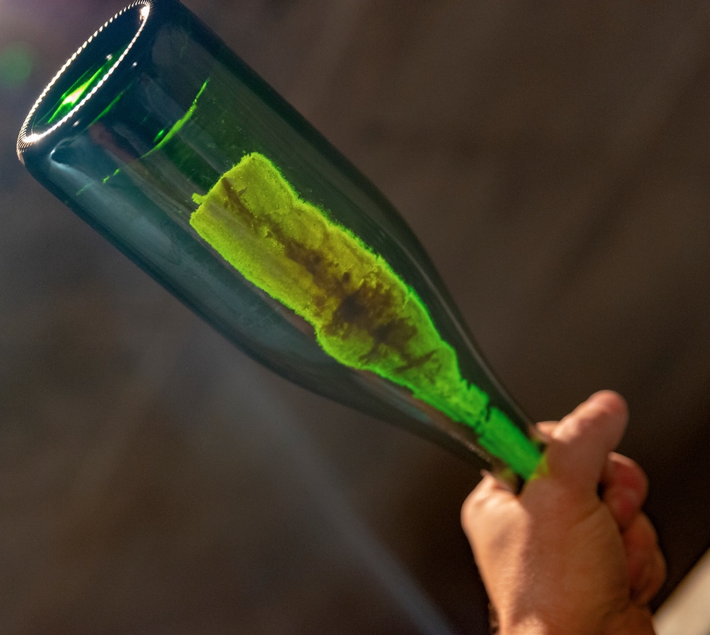 The Beauty of Self-Destruction