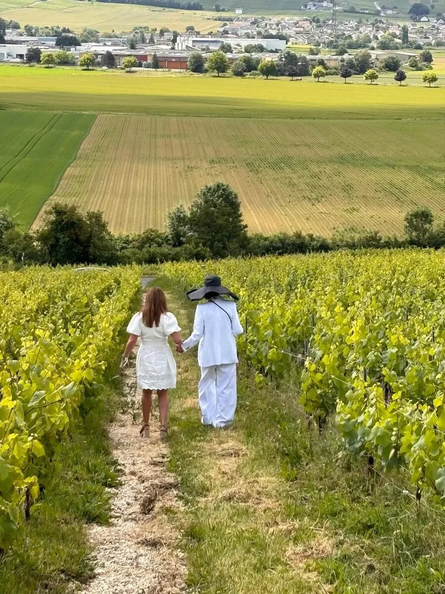Champagne vineyard tour: Two people hold hands, walking through the vines during the harvest season in France.