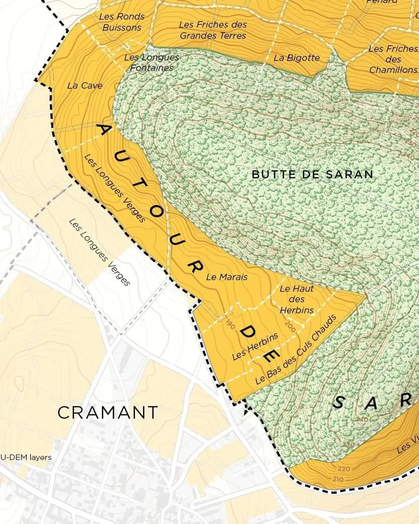 Chouilly Grand Cru Côte des Blancs vineyard map with parcel names and topographic lines