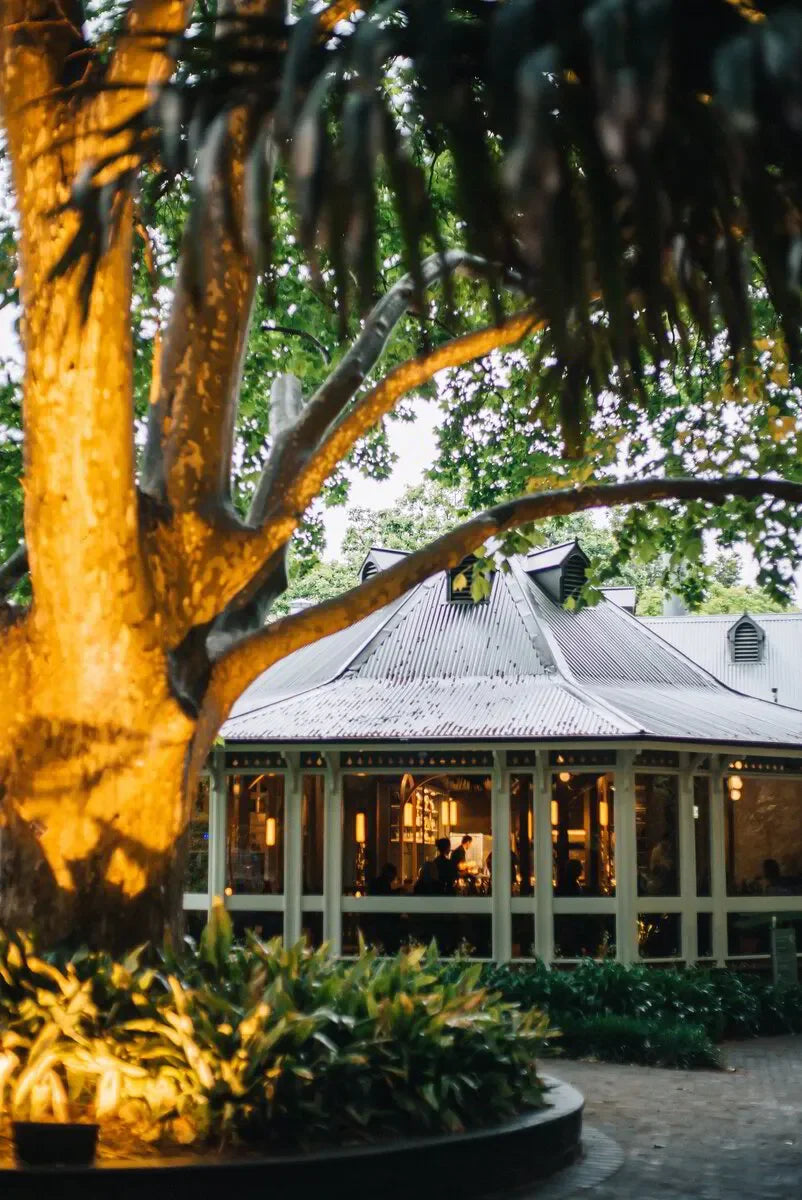 Cozy restaurant with large windows and outdoor garden under a big tree at dusk