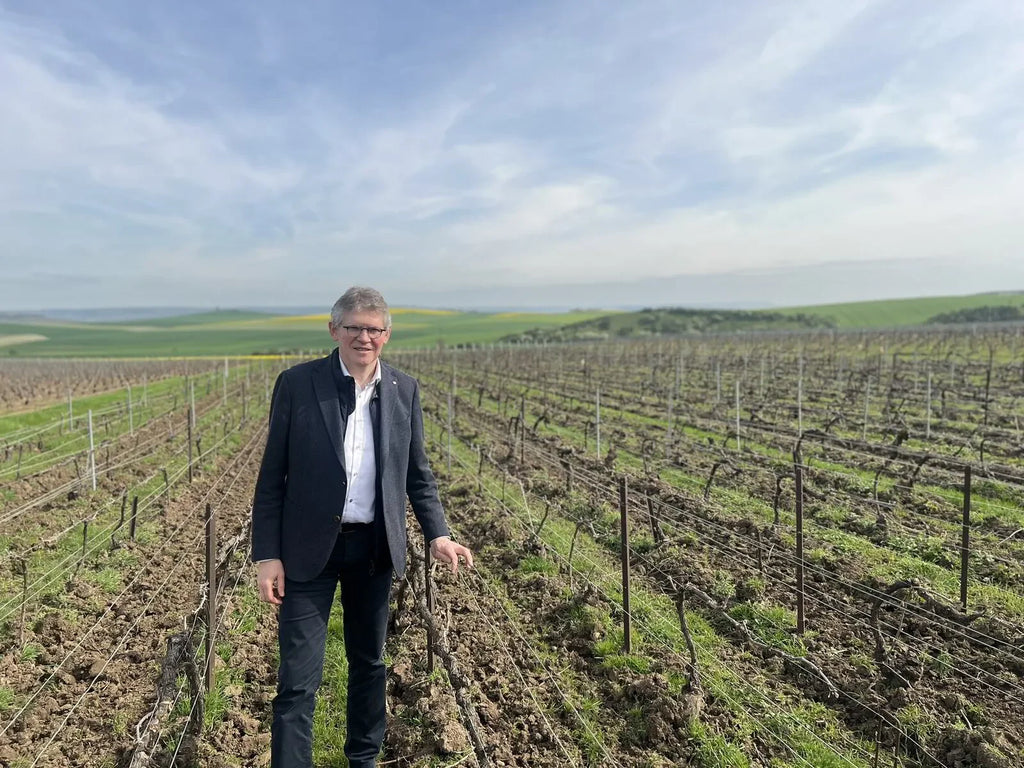 Man in a vineyard field on a sunny day with rolling green hills in the background