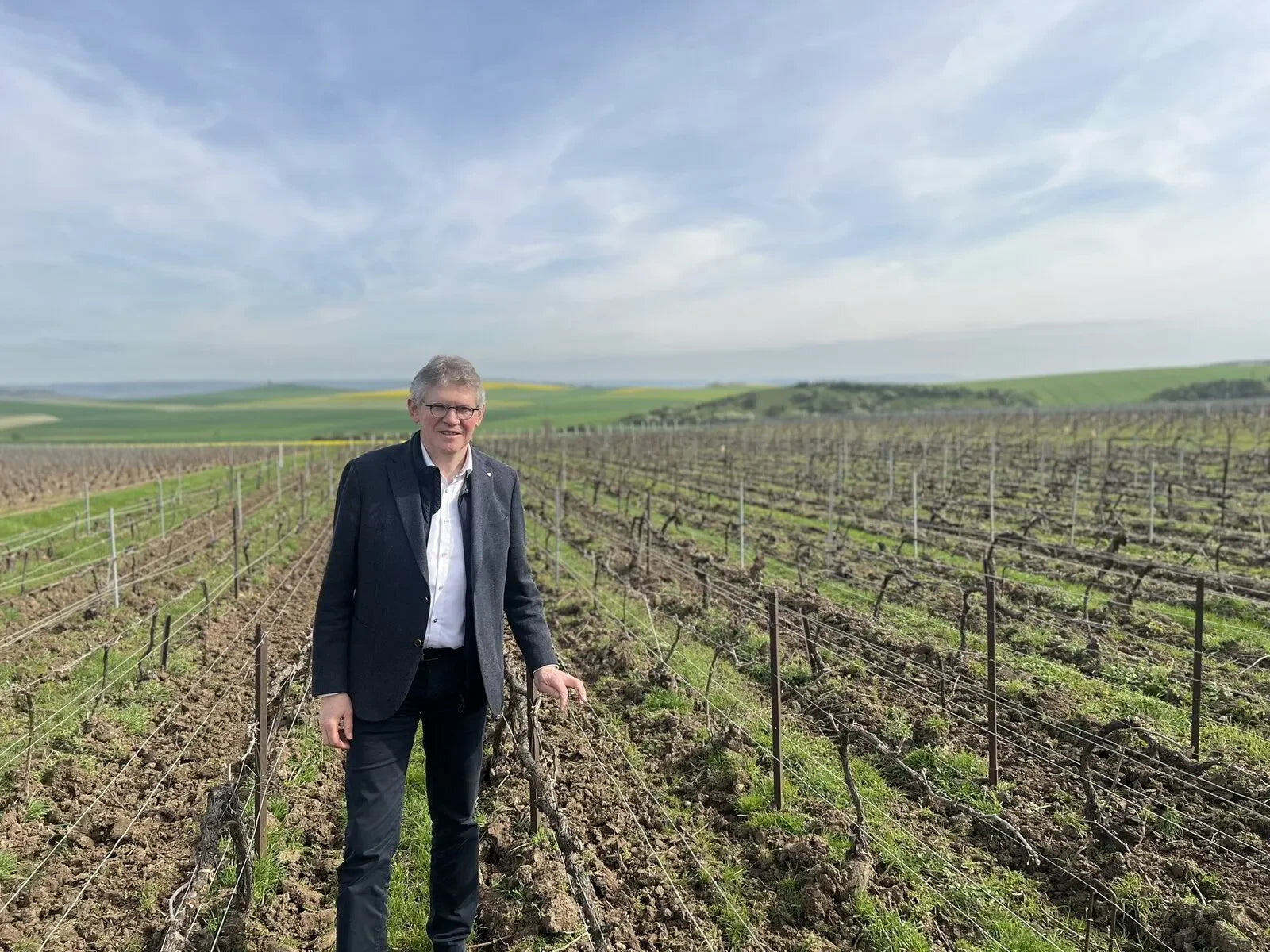 Man in a vineyard field on a sunny day with rolling green hills in the background