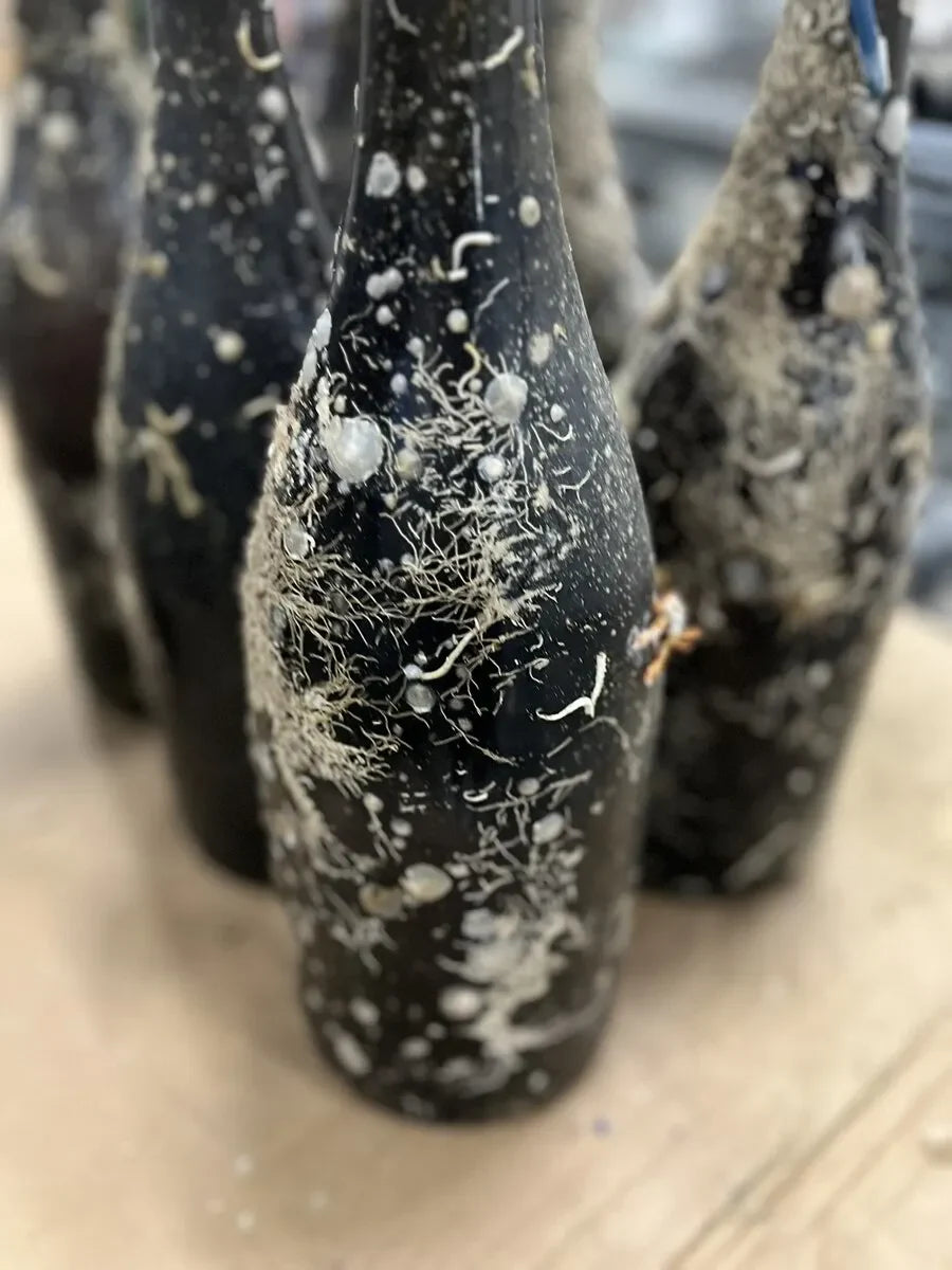 Le Printemps des Champagnes - Champagne France, April 2024