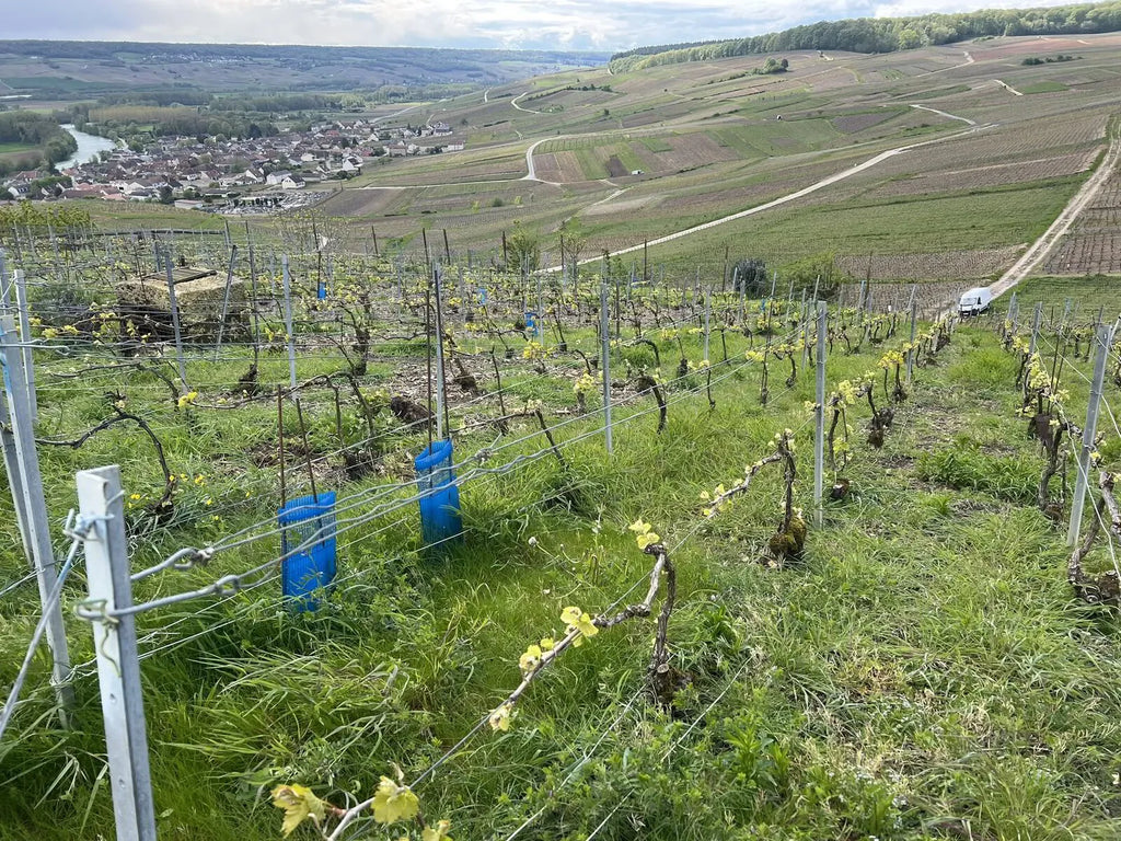 Le Printemps des Champagnes - Champagne France, April 2024