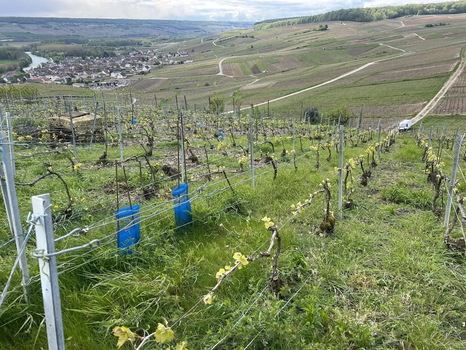 Le Printemps des Champagnes - Champagne France, April 2024