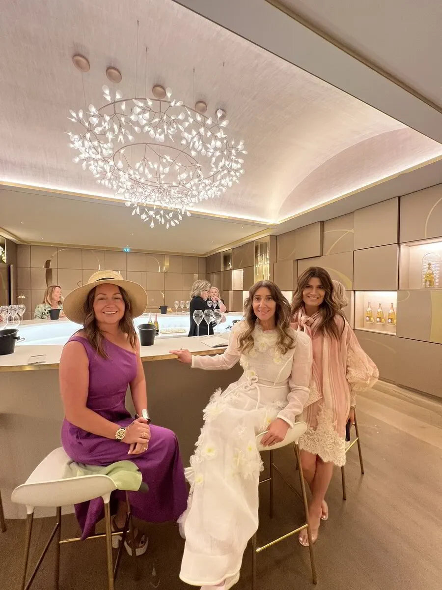 VIP champagne tour experience in France. Guests at a tasting event in Champagne region. Harvest experience, France,