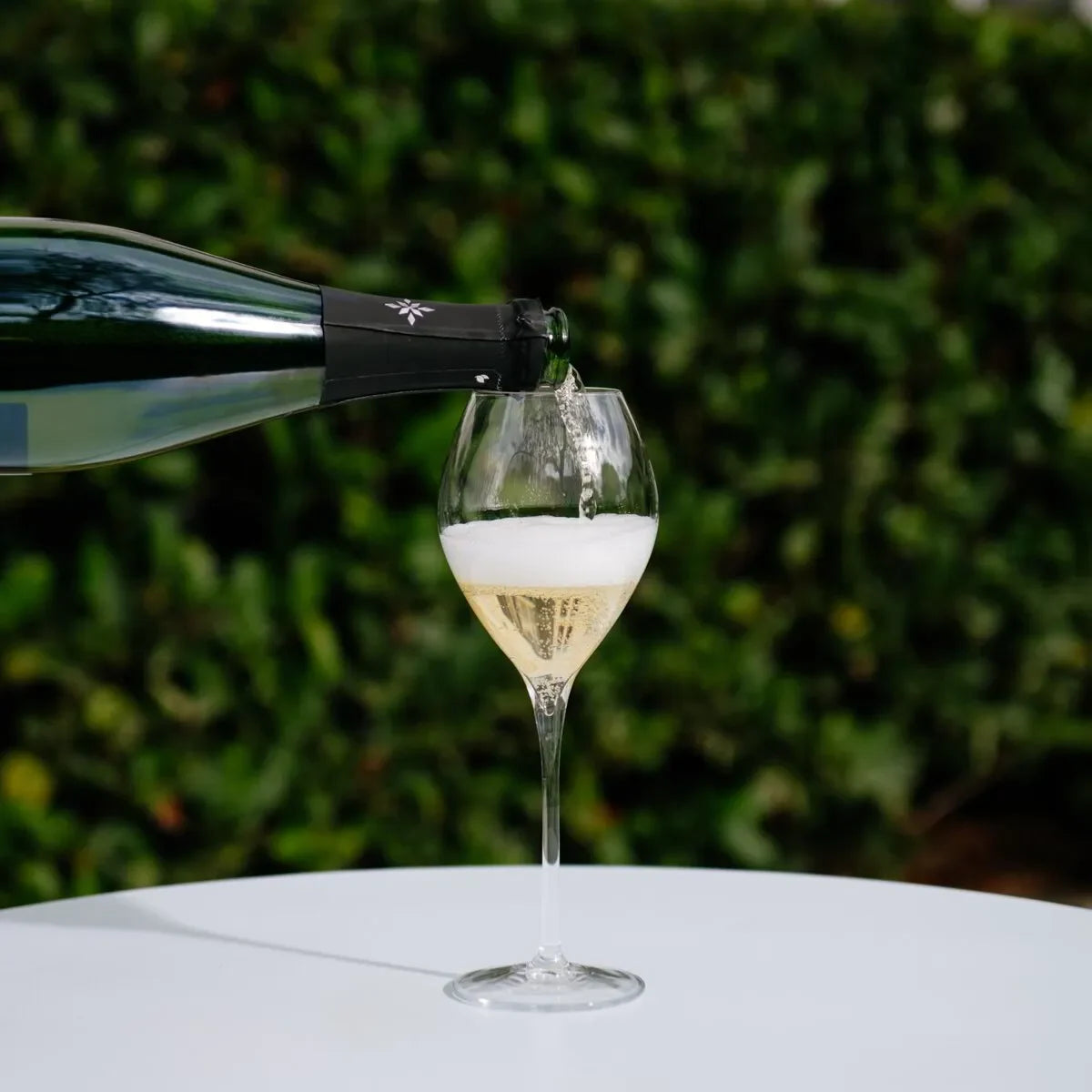 Champagne being poured into a Lehmann Jamesse Premium glass on white table outdoors