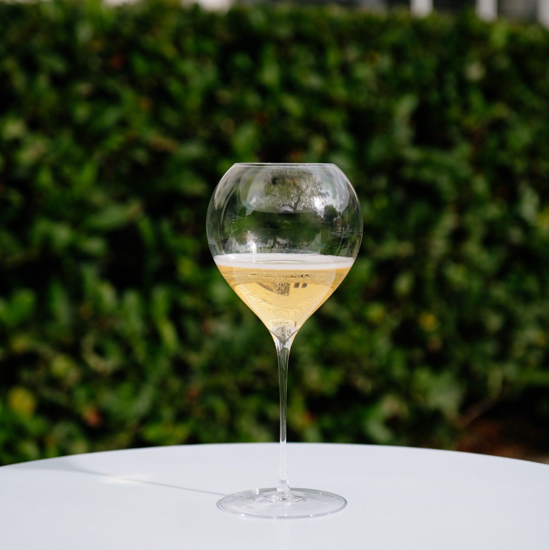 Lehmann Champagne Synergie 52 Glasses (Box of 6)