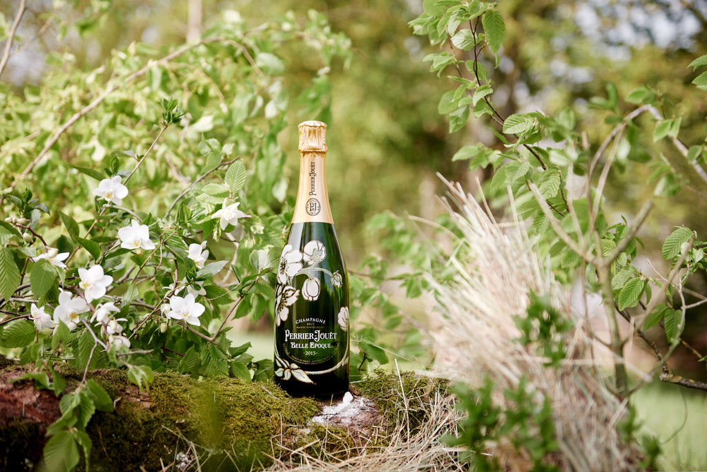 A Champagne and Botanical Immersion, Adelaide Hills, 21 November 2026