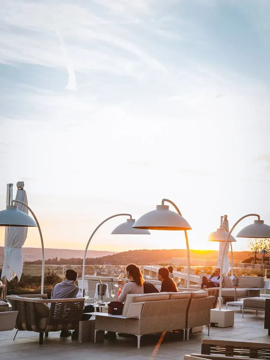 Vine and Bubble - VIP Tour to Champagne France