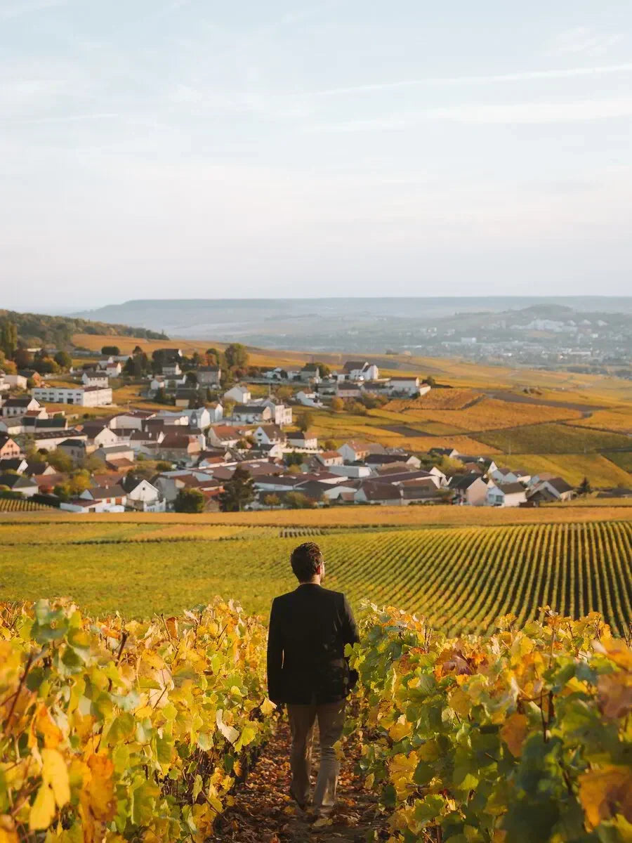 Vine and Bubble - VIP Tour to Champagne France