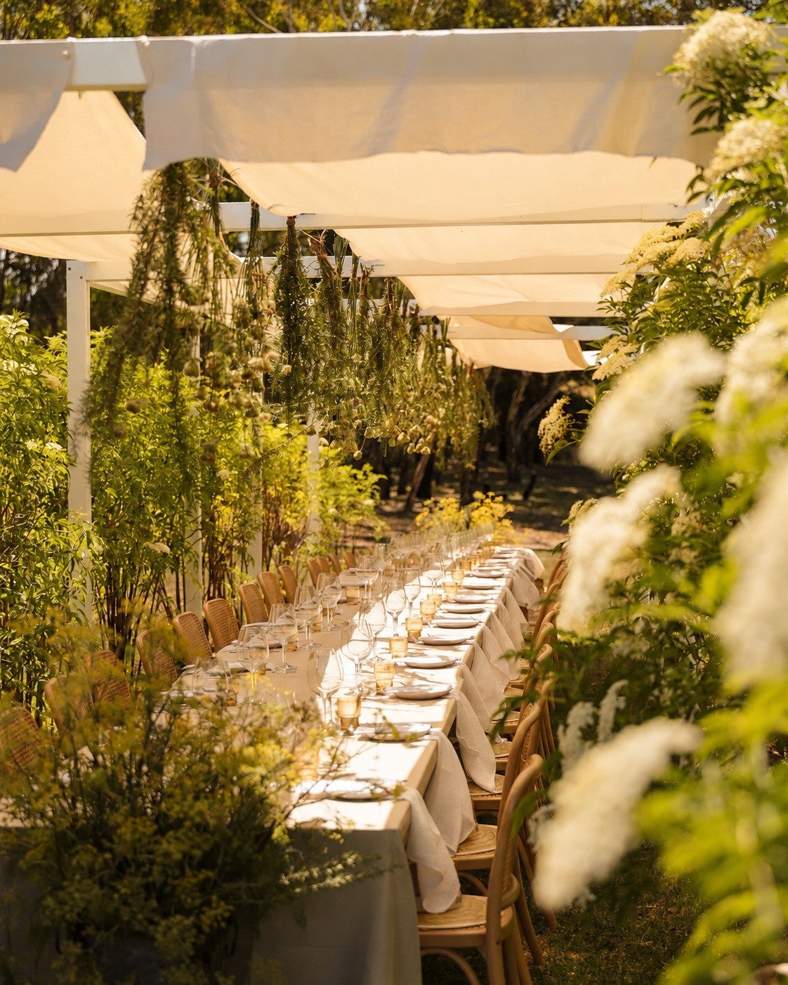 A Champagne and Botanical Immersion, Adelaide Hills, 21 November 2026