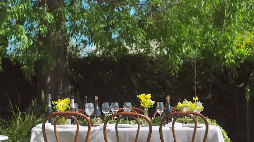 Vine and Bubble intro video - The Real Story of Champagne